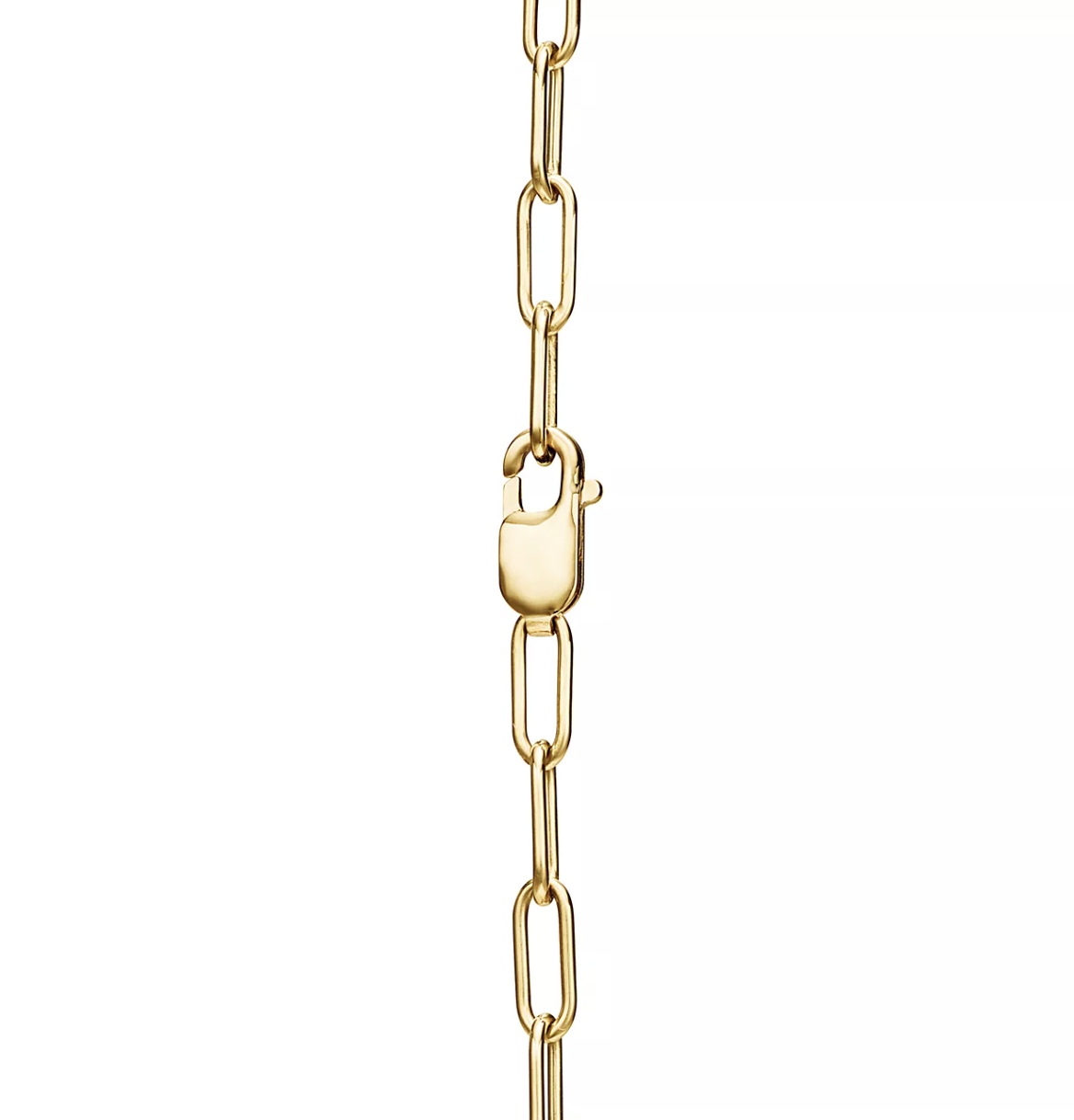[Reverie Jewels]LOCK NECKLACE GOLD